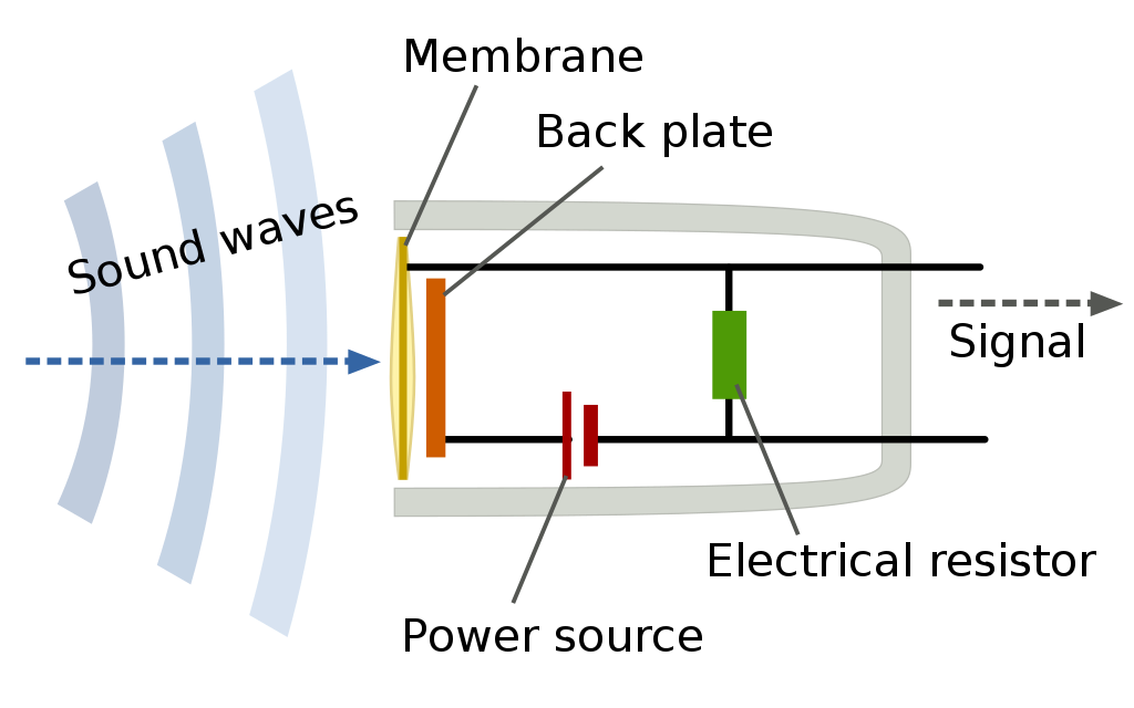 Inner workings of a condensor microphone