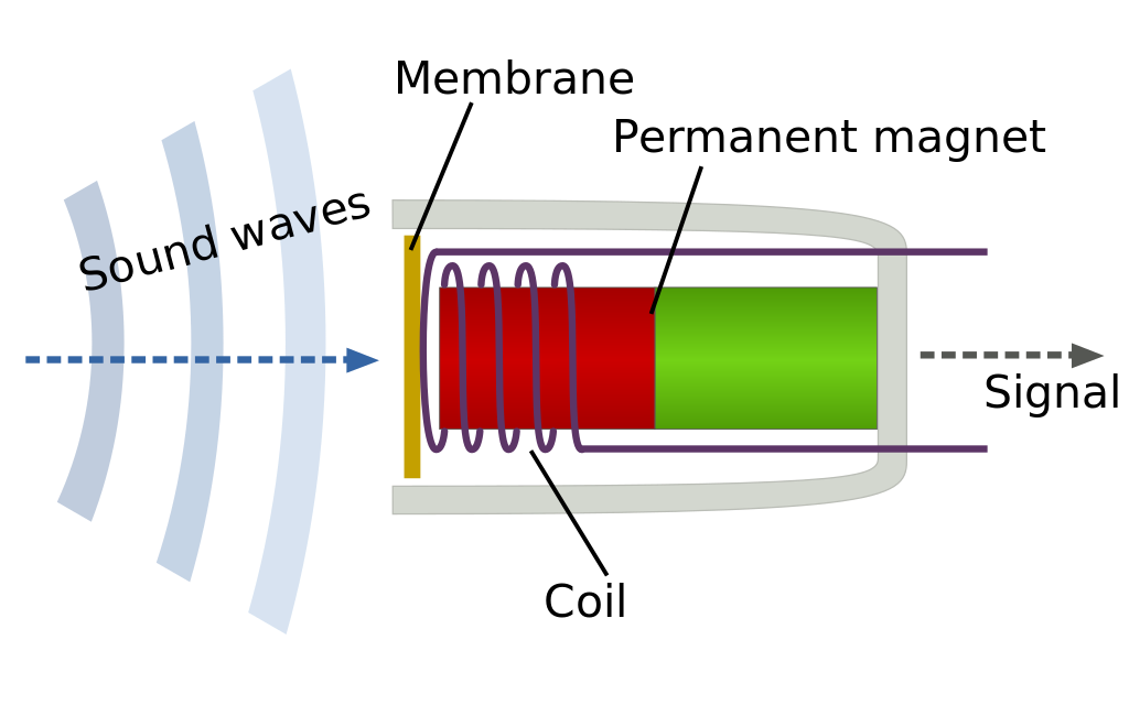 Inner workings of a Dynamic Microphone